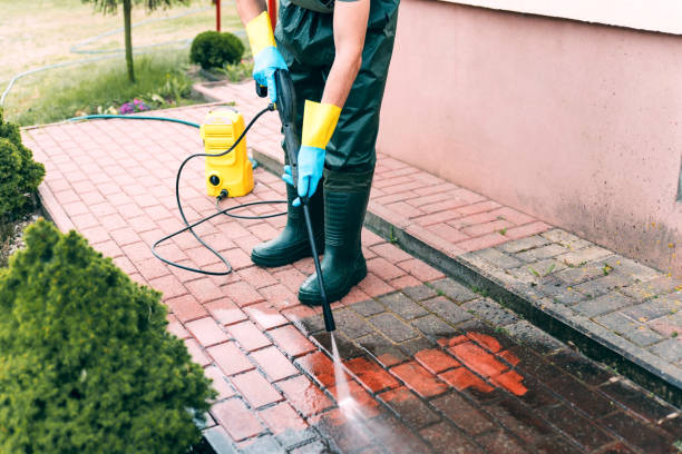 Animal Enclosure Cleaning in Carver, MN